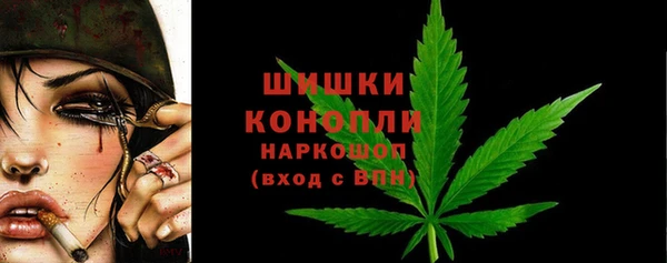 ГАЛЛЮЦИНОГЕННЫЕ ГРИБЫ Краснослободск